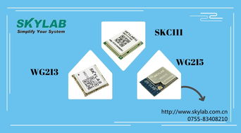 探索物聯(lián)網(wǎng)應(yīng)用服務(wù) 賦能智能生活與產(chǎn)業(yè)升級